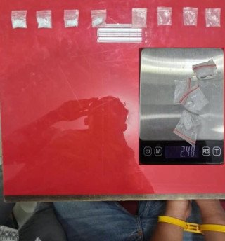 Bawa 4 Paket Sabu, Pria 32 Tahun Diamankan Polsek Rambah di Kebun Sawit